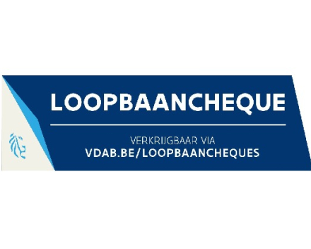 Loopbaanbegeleiding